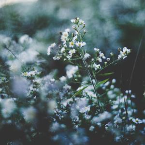 啊灬啊灬啊灬深高潮了最新版
